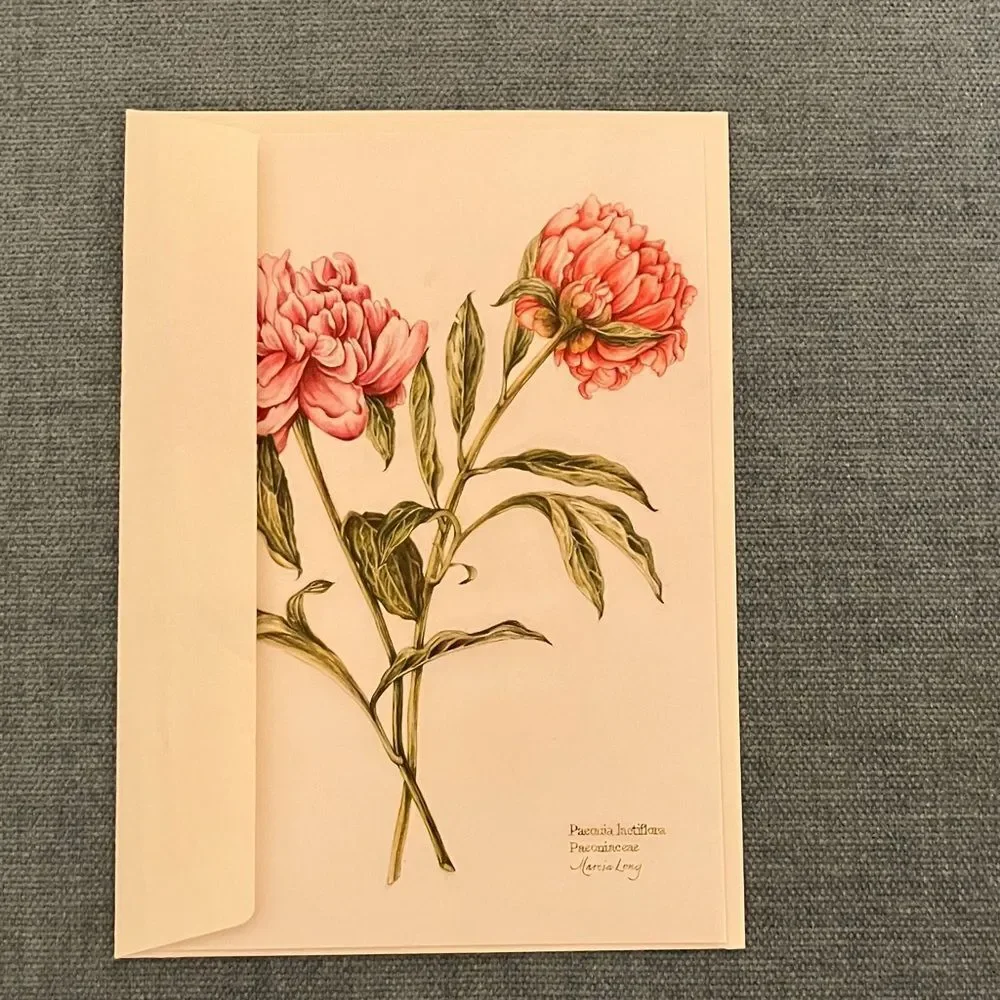 Peonies The Colonial Williamsburg Foundation Card
